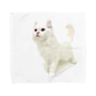 Milkoftheguineapigの白猫 タオルハンカチ
