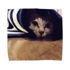 mana×micia！！のねこ Towel Handkerchief