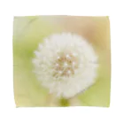 UshunのUshun/DANDELION Towel Handkerchief