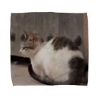 ume_chanのモロッコの猫 Towel Handkerchief