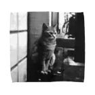 猫山アイス洋品店の冬猫さん Towel Handkerchief