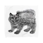segasworksのふわふわの仔猫 タオルハンカチ