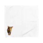 猫島のじかんのごめ～んにゃさい Towel Handkerchief