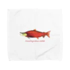 SHOP:MOWARNのサケ・マスシリーズ：ベニザケ Towel Handkerchief