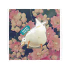 小さいあひる。の花柄梅ﾁｬﾝ Towel Handkerchief