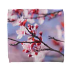 𝔗𝔞𝔦𝔰𝔢𝔦 𝔜𝔞𝔪𝔞𝔡𝔞のSakura en France. Towel Handkerchief