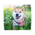 shibainu_rocoの柴犬ロコ Towel Handkerchief