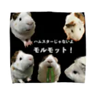 むぎ茶を崇める会のはむすたじゃないよモルモットだよ Towel Handkerchief