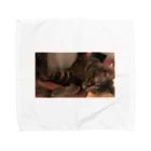 ひ-50の猫 Towel Handkerchief