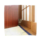 mkoijnのねこ Towel Handkerchief