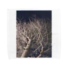 watashiwatashiの夜の木 枝ぴんぴん ウッドナイト タオルハンカチ