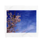 hiroki-naraの桜　サクラ　cherry blossom DATA_P_093 Towel Handkerchief