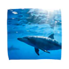 Island escape. のdolphin. Towel Handkerchief