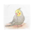 まめるりはことりのオカメインコ　シナモン【まめるりはことり】 Towel Handkerchief