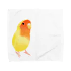 まめるりはことりのコザクラインコ　おすましルチノー【まめるりはことり】 Towel Handkerchief