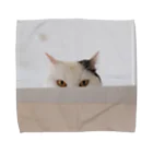 chatonの実家の猫 Towel Handkerchief