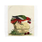 J. Jeffery Print Galleryの博物画の鳥 Towel Handkerchief