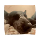 Pchan goodiesのSleepy dog  タオルハンカチ