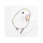 まめるりはことりのコザクラインコ　バイオレットパイドちゃん【まめるりはことり】 タオルハンカチ