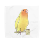 まめるりはことりの得意げ可愛い　コザクラインコちゃん【まめるりはことり】 Towel Handkerchief