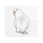 まめるりはことりのアルビノセキセイインコちゃん【まめるりはことり】 Towel Handkerchief