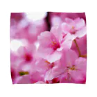 青空骨董市の永遠の桜 -思いを託して- Towel Handkerchief