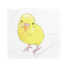 まめるりはことりの可愛いセキセイインコのパームちゃん タオルハンカチ