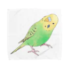 まめるりはことりの首傾げセキセイインコ　ピーちゃん【まめるりはことり】 Towel Handkerchief