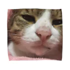 625626のねこねこ Towel Handkerchief