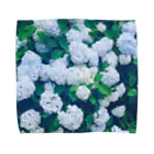 只野ちよの紫陽花の写真 Towel Handkerchief