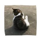 にゃこーんすーぷのふりかえりにゃにゃすけ Towel Handkerchief