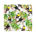 🌿kacyouen🌿の鳥（サンショクキムネオオハシ） Towel Handkerchief
