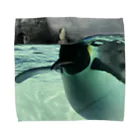 ペンギンの写真のコウテイペンギン　写真　リアル Towel Handkerchief