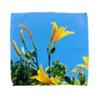 Tamzooの晴天の花 タオルハンカチ
