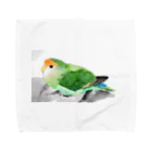 水色堂のペタンと座ったコザクラインコ Towel Handkerchief