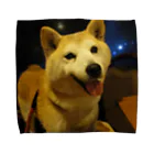 shibainuひめこのひめひめこ Towel Handkerchief