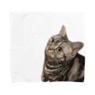 nayuとペット達のぼーっとする猫 Towel Handkerchief