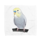 まめるりはことりののんびりセキセイインコちゃん【まめるりはことり】 Towel Handkerchief