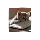 Teatime ティータイムの眠る猫 ねこ cat  Towel Handkerchief