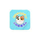 嶌星堂の新型コロナワクチン三回接種済み三毛猫 Towel Handkerchief