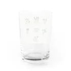 パキポキさんのcaudex  Water Glass :back