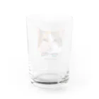 猫のイラスト屋さんのPARU Water Glass :back