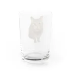 appetoppeの史上最強に可愛いキジトラのソラがおやつのおかわりをねだる！ Water Glass :back