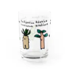 ブブブバオバブのかわいい実生たち Water Glass :back