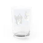 イレブンラグのルーシーロージー／LURO C.Z. Water Glass :back