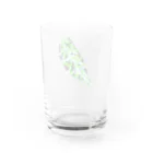 FOXWORKSのアグラオネマリーフ Water Glass :back