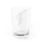 カメの歩みのアオウミガメ Water Glass :back