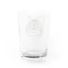 カナタ　フタバのキジトラ柄の猫 Water Glass :back