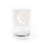 ぶちゃ猫・茶々丸オフィシャルショップのぶちゃ猫・茶々丸 Water Glass :back