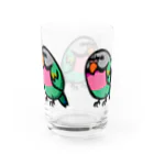 カゲトラのダルマインコのカゲトラさん（ギョリギョリ・トリオ） Water Glass :back